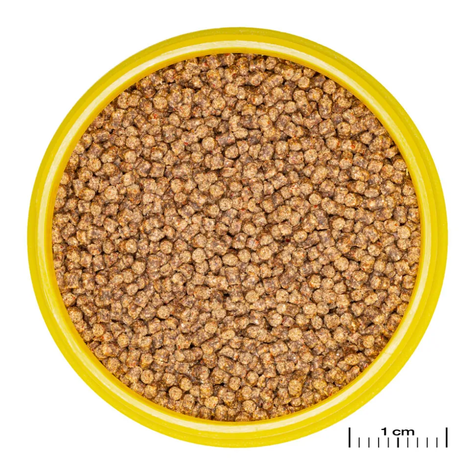 JBL - Aliment en Granulés Pronovo LOTL GRANO S pour Poissons Tropicaux - 100ml