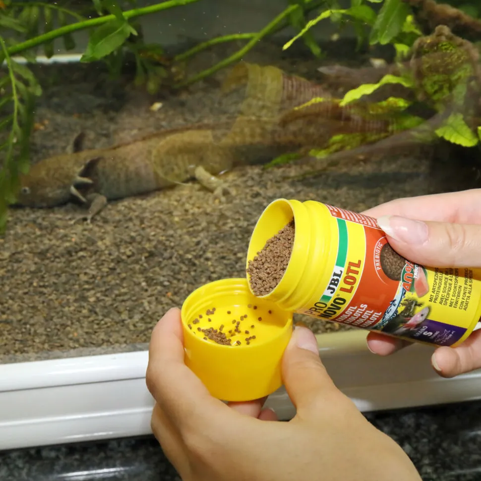 JBL - Aliment en Granulés Pronovo LOTL GRANO S pour Poissons Tropicaux - 100ml