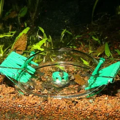 JBL - Piège à Escargots LimCollect II sans Produits Chimiques