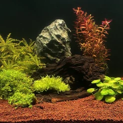 JBL - Substrat Sol Naturel Manado pour Aquarium