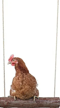 Kerbl - Balançoire à Corde pour Poules - 39cm
