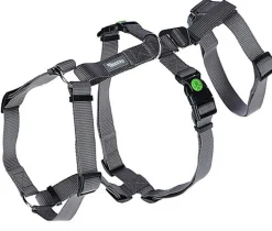 Kerbl - Harnais Antipanique Miami Gris pour Chiens - 48-70cm/20mm