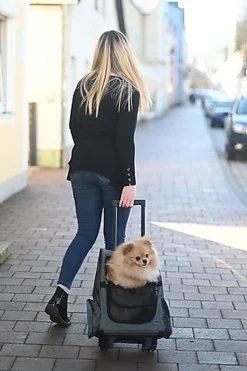 Kerbl - Sac de Transport Trolley Vacances Gris/Bleu pour Chiens - 41x26x55cm