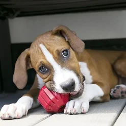 KONG - Balle Stuff-A-Ball pour Chiens - L