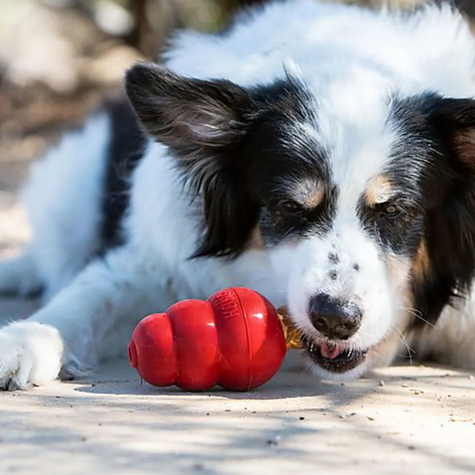 KONG - Friandises Snacks au Foie pour Chiens - L