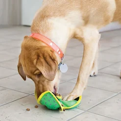 KONG - Jouet à Friandises Ballistic Hide 'N Treat pour Chien - M