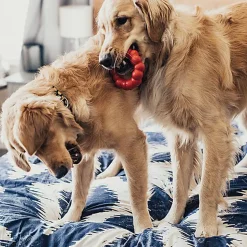 KONG - Jouet Anneau Ring en Caoutchouc pour Chien