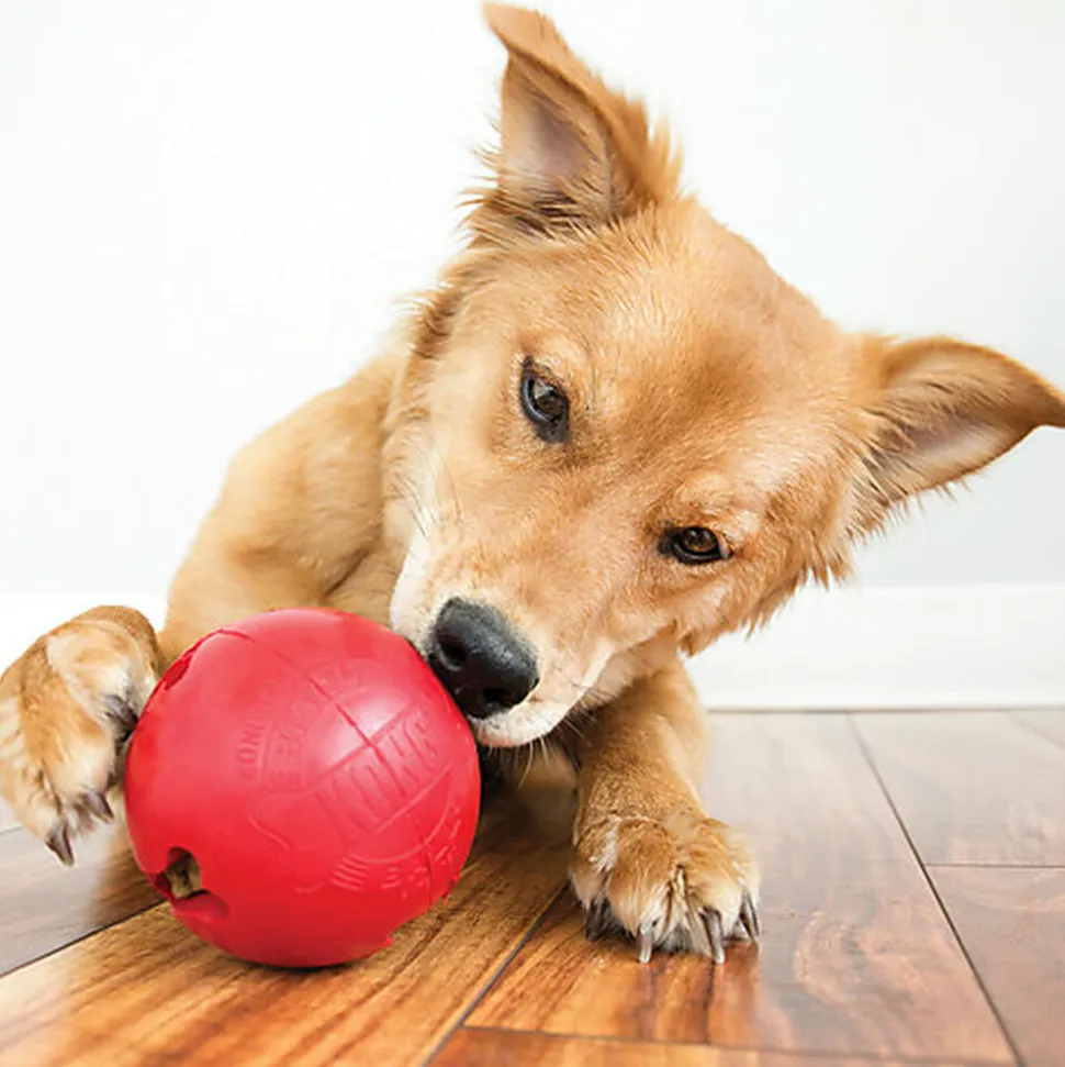 KONG - Jouet Balle pour Chien