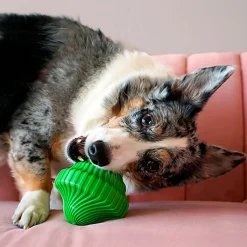 KONG - Jouet Balle Spin Squeezz Orbitz pour Chiens - M/L