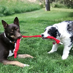 KONG - Jouet Boudin Signature Triple pour Chiens - L