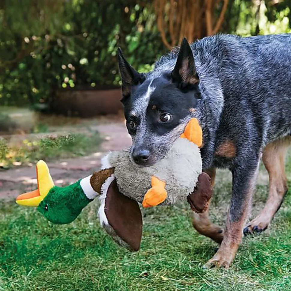 KONG - Jouet Canard en Peluche Shakers Honkers Duck pour Chien