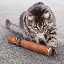 KONG - Jouet Cigare Better Buzz Cigar pour Chat