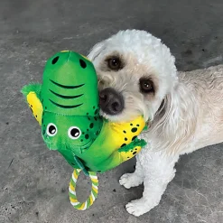 KONG - Jouet Cozie Tuggz Alligator pour Chiens - M/L