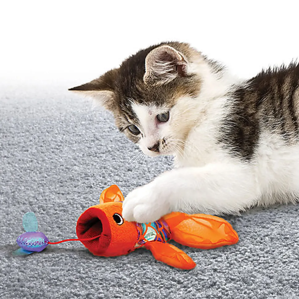 KONG - Jouet Crackles Poisson pour Chats