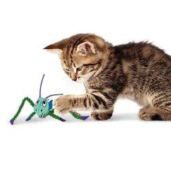 KONG - Jouet Crackles Sauterelle pour Chats