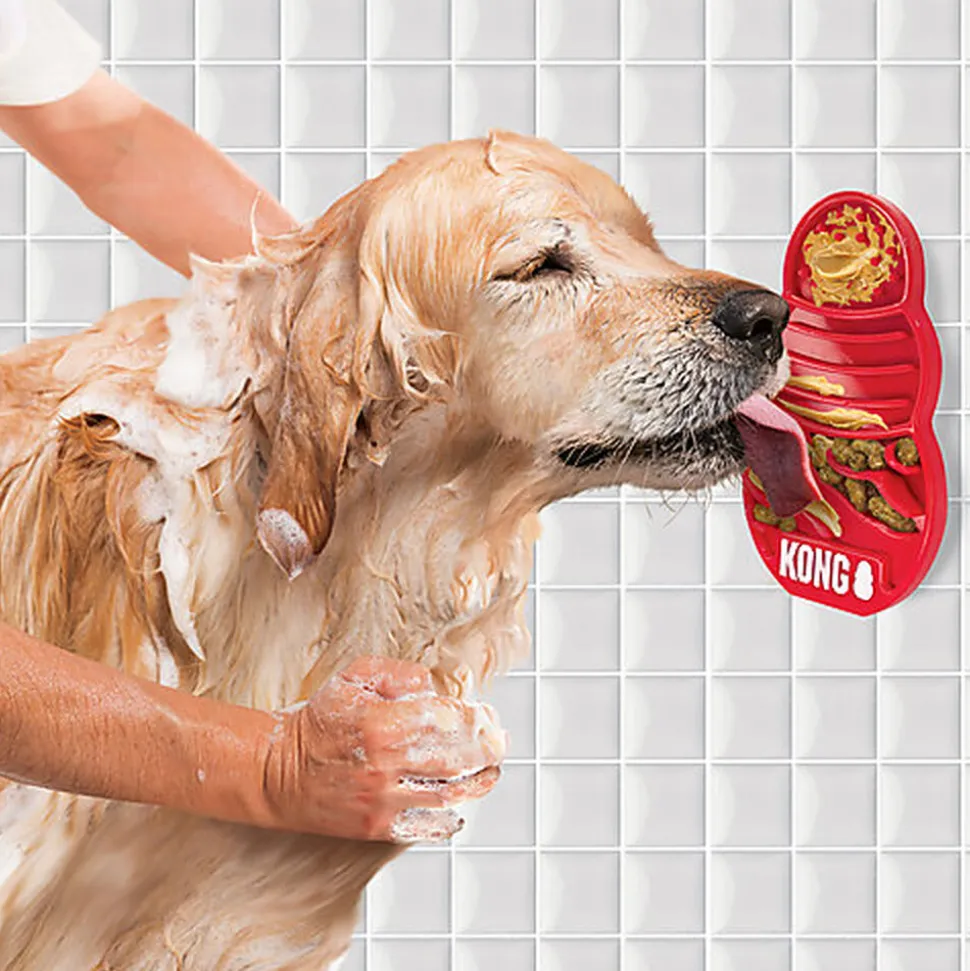 KONG - Jouet Distributeur de Friandises Licks pour Chiens