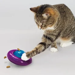 KONG - Jouet Distributeur Friandises Infused Gyro pour Chats
