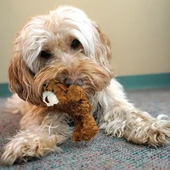 KONG - Jouet Dr. Noys Teddy Bear pour Petits Chiens