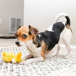 KONG - Jouet Duck Dr Noys pour Petits Chiens