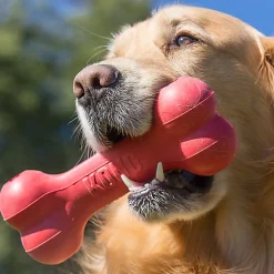 KONG - Jouet Goodie Bone pour Chien