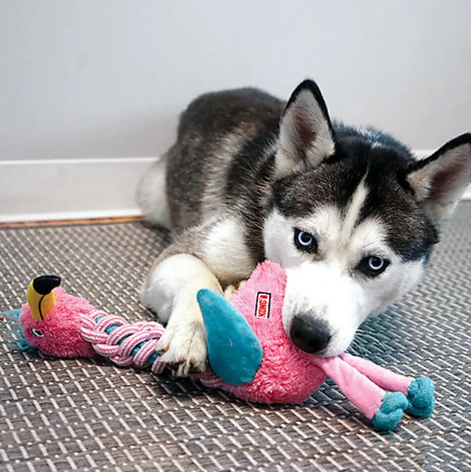 KONG - Jouet Knots Twists Girafe pour Chiens - S/M