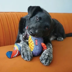 KONG - Jouet Oiseau Ballistic Vibez pour Chiens - M/L