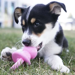 KONG - Jouet Puppy Binkie pour Chiot