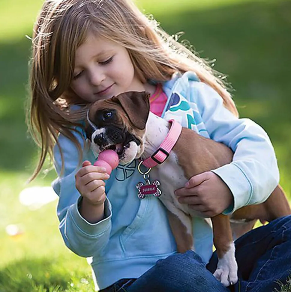 KONG - Jouet Puppy pour Chiot