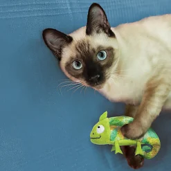 KONG - Jouet Refillables Caméléon pour Chats - 11cm