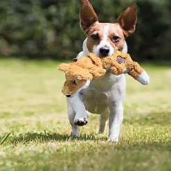 KONG - Jouet Scrunch Knots Squirrel pour Chiens