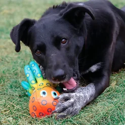 KONG - Jouet Shieldz Tropics Pieuvre pour Chiens - M