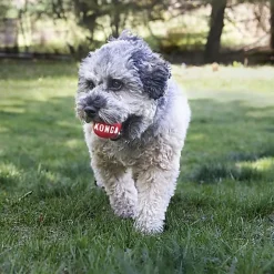 KONG - Jouet Signature Ball pour Chien