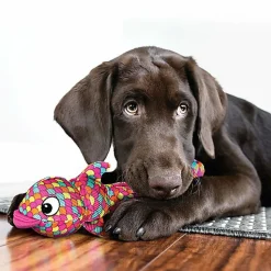 KONG - Jouet Wubba Finz pour Chien