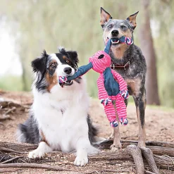 KONG - Peluche Floppy Knots Fox Renard pour Chien - S/M