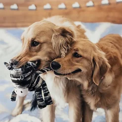 KONG - Peluche Yarnimals Zebra Zèbre pour Chien - S/M