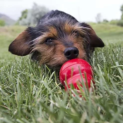 KONG - Pâté de Foie Stuff'N au Poulet pour Chien