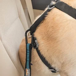 Kurgo - Attache Sécurité Direct Seat-belt Voiture pour Chien - Bleu