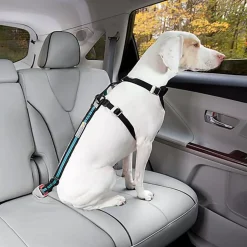 Kurgo - Attache Sécurité Direct Seat-belt Voiture pour Chien - Bleu