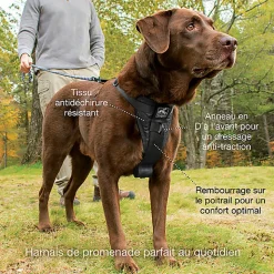 Kurgo - Harnais de Sécurité 