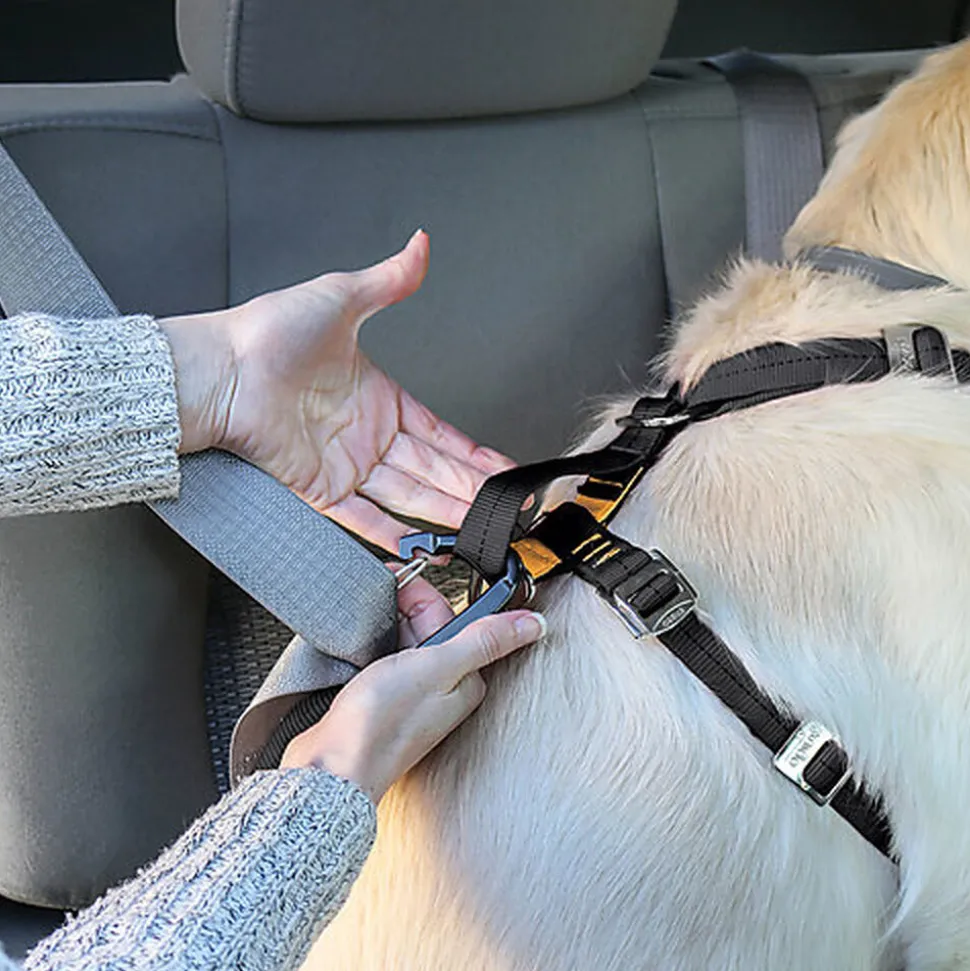 Kurgo - Harnais de Sécurité "Tru-Fit" Bleu Pour Chien