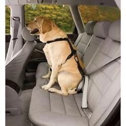 Kurgo - Harnais Transport et Marche Sécurité Tru-Fit pour Chien