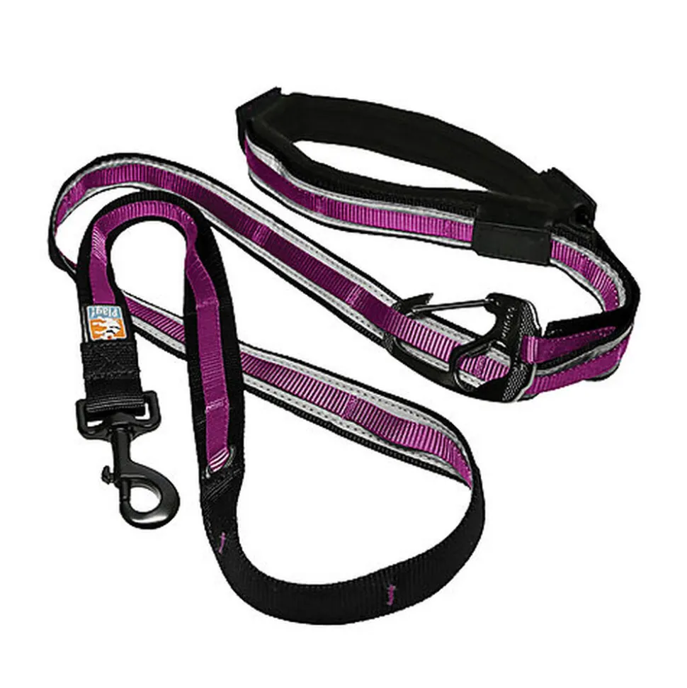 Kurgo - Laisse Min Libre "Quantum" pour Chiens - Framboise