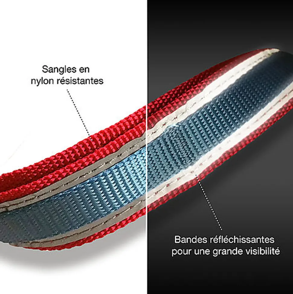 Kurgo - Laisse Min Libre "Quantum" pour Chiens - Framboise