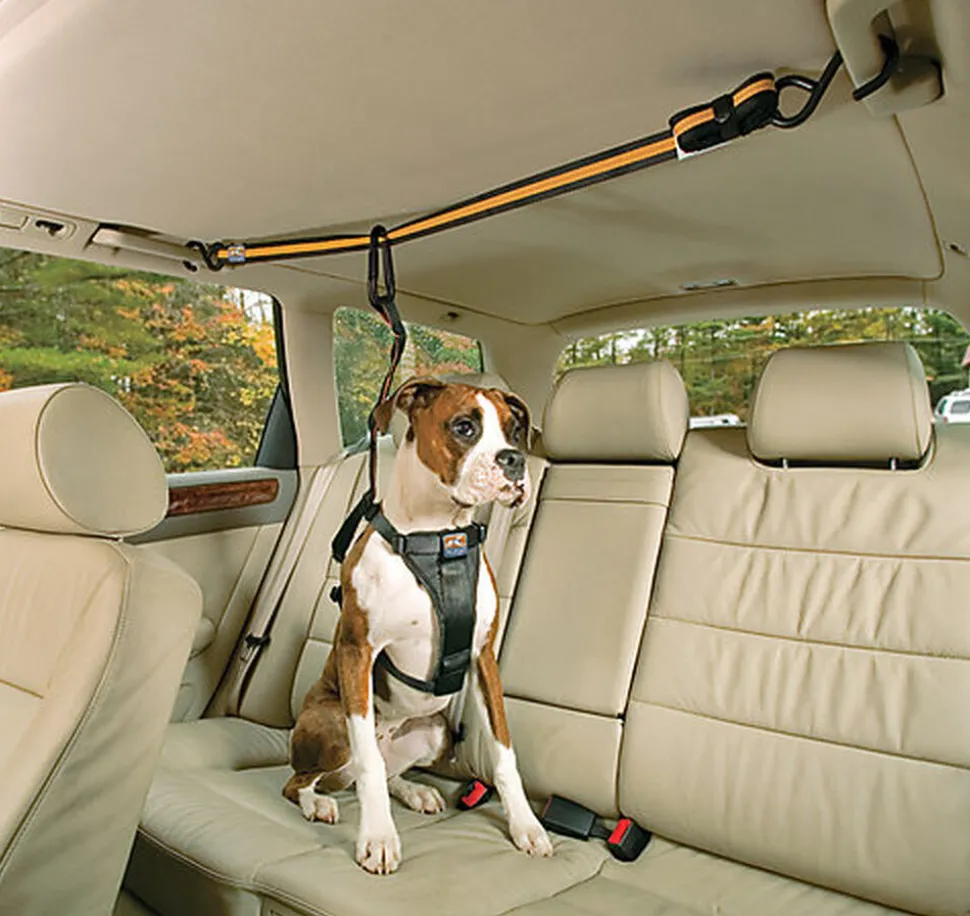 Kurgo - Tyrolienne de Sécurité ZIP LINE pour Chiens