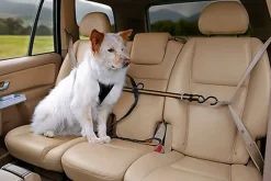 Kurgo - Tyrolienne de Sécurité ZIP LINE pour Chiens