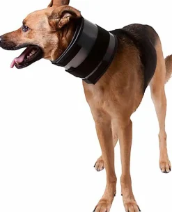 KVP - Minerve Bite Free Cervical Pour Chien