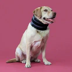 KVP - Minerve Bite Free Cervical Pour Chien