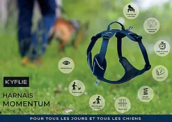 Kyflie - Harnais de promenade MOMENTUM Bleu pour Chien