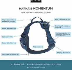 Kyflie - Harnais de promenade MOMENTUM Noir pour Chien