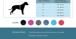 Kyflie - Harnais de promenade MOMENTUM Rose pour Chien
